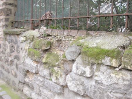 DSCN0794
