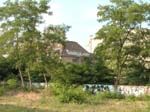 DSCN6706