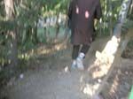 DSCN6729