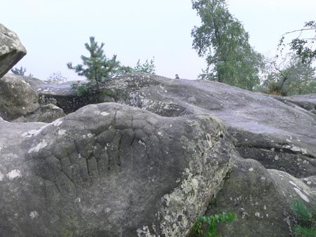 P1000744