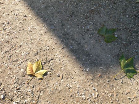 P1130288