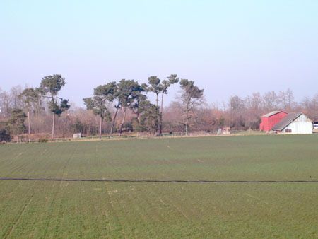 P1150773