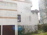 P1160797