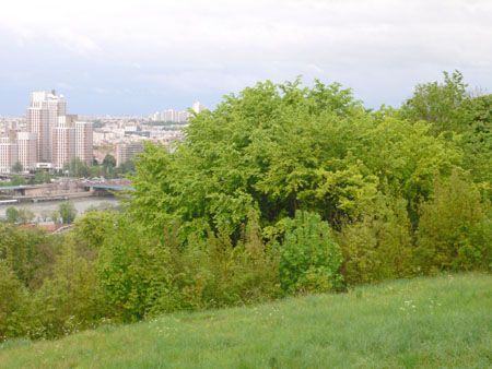 P1170484