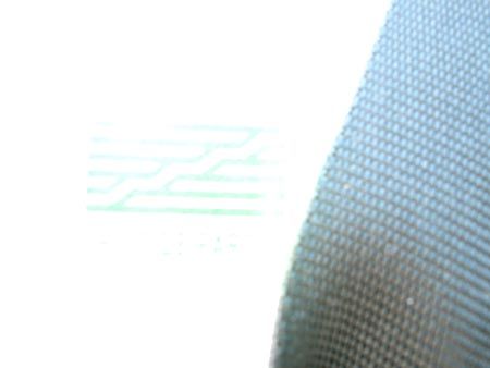 DSCN6576