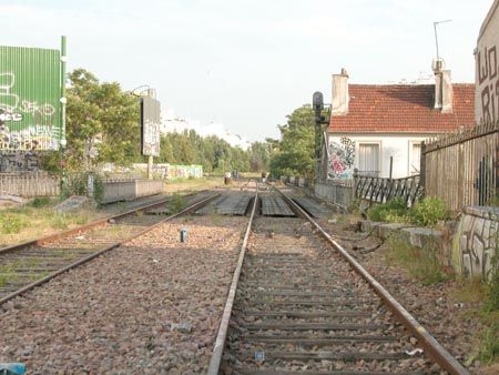 DSCN6691