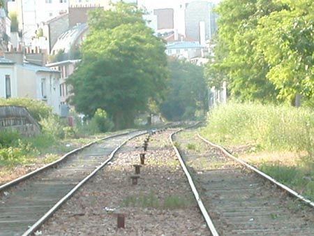 DSCN6694