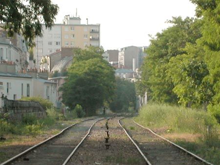 DSCN6704