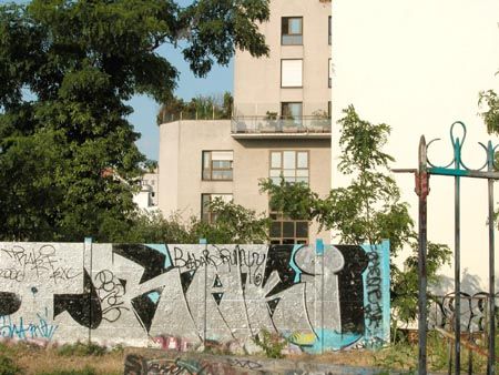 DSCN6705