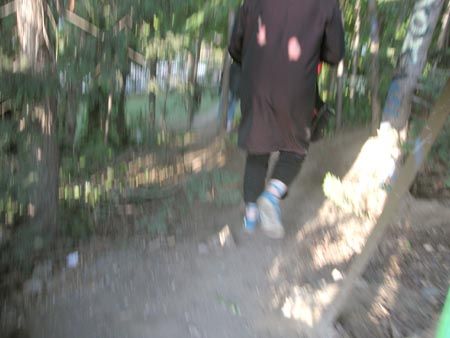DSCN6729