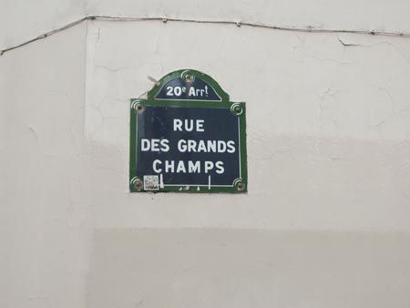 DSCN6743