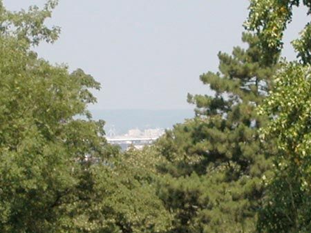 DSCN7262