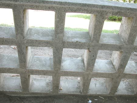 DSCN7269