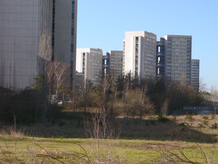 P1050424