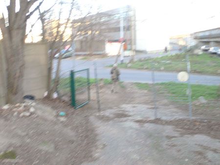 P1050666