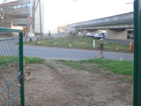 P1050668
