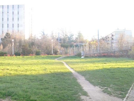 P1050684