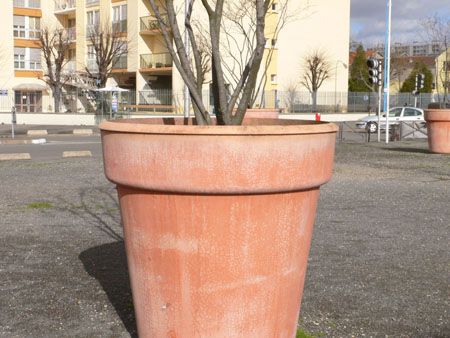 P1050726