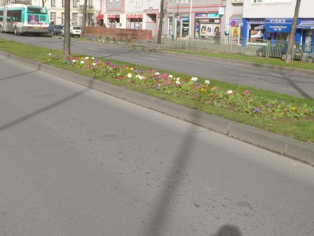 P1050854
