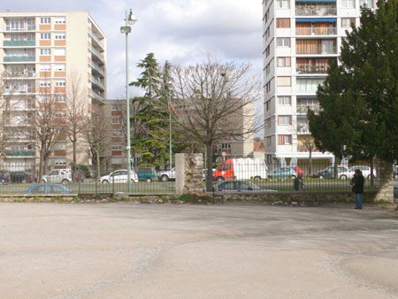 P1050911