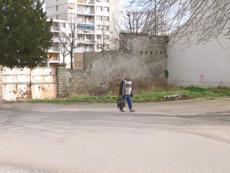 P1050916