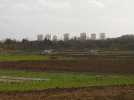 P1060171