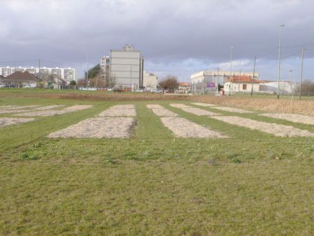 P1060192