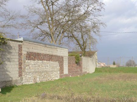 P1060231