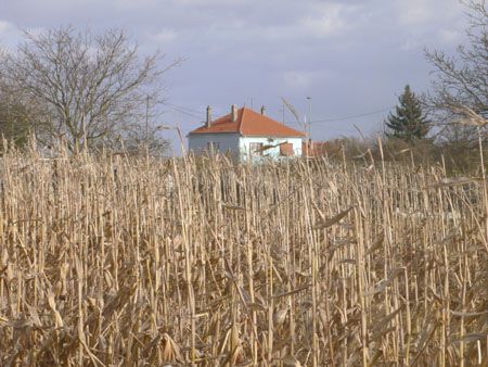 P1060241