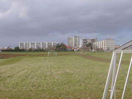 P1060251