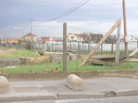 P1060312