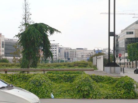 P1090374