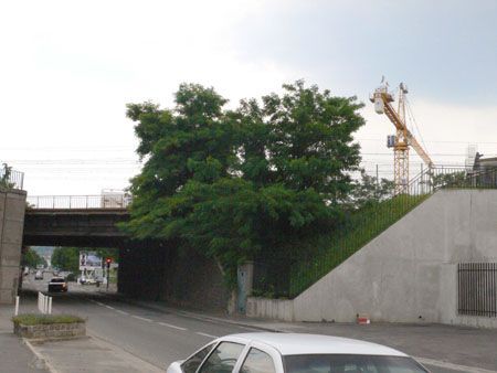 P1090394