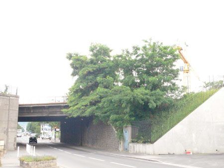 P1090396
