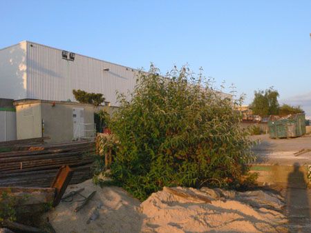 P1090517