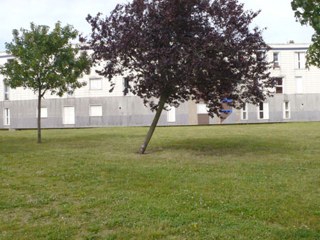 P1090732