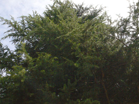 P1090737