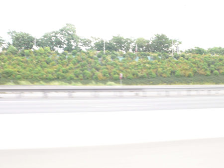 P1090830