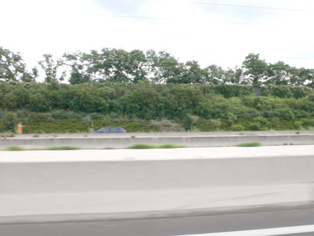 P1090832