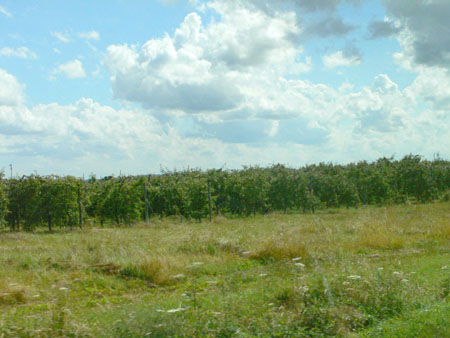 P1090940