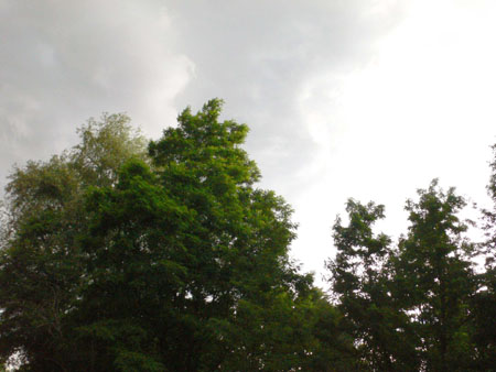 P1090987