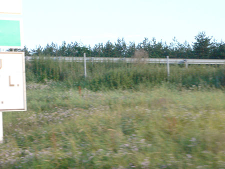 P1100026