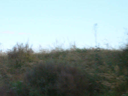 P1100028