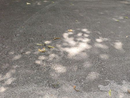 P1110091