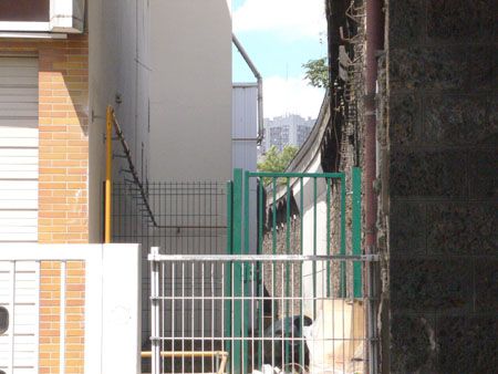 P1110171
