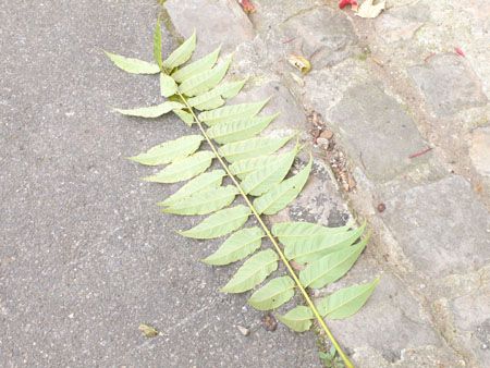 P1120837