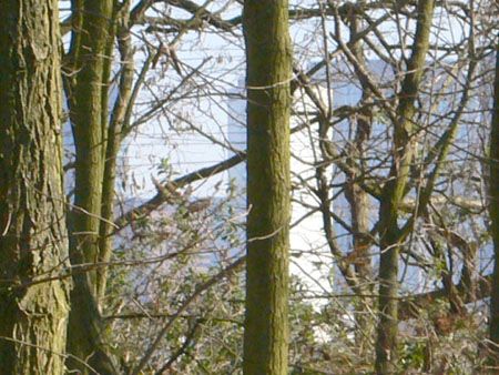 P1160144