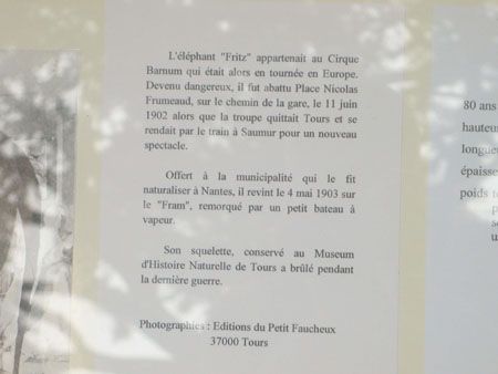 P1160206