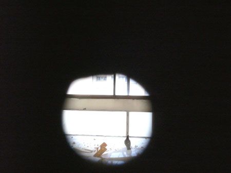 P1160431