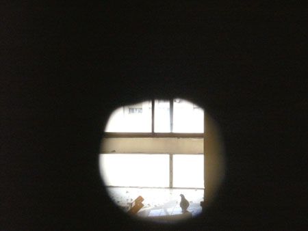 P1160432